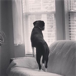 Meet your Posher, Sheri